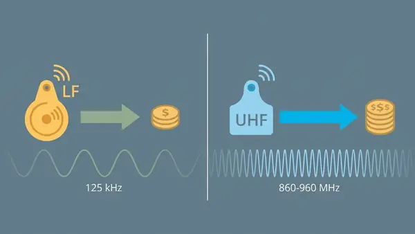Comparison chart of LF and UHF cattle ear tags showing read range, frequency, and cost factors side by side