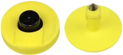 RFID Tags for Swine