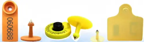 RFID Animal Tags